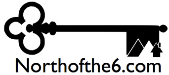 Offical-NO6-Logo-2017
