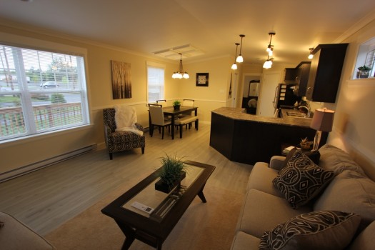 Living-Area-11Resized