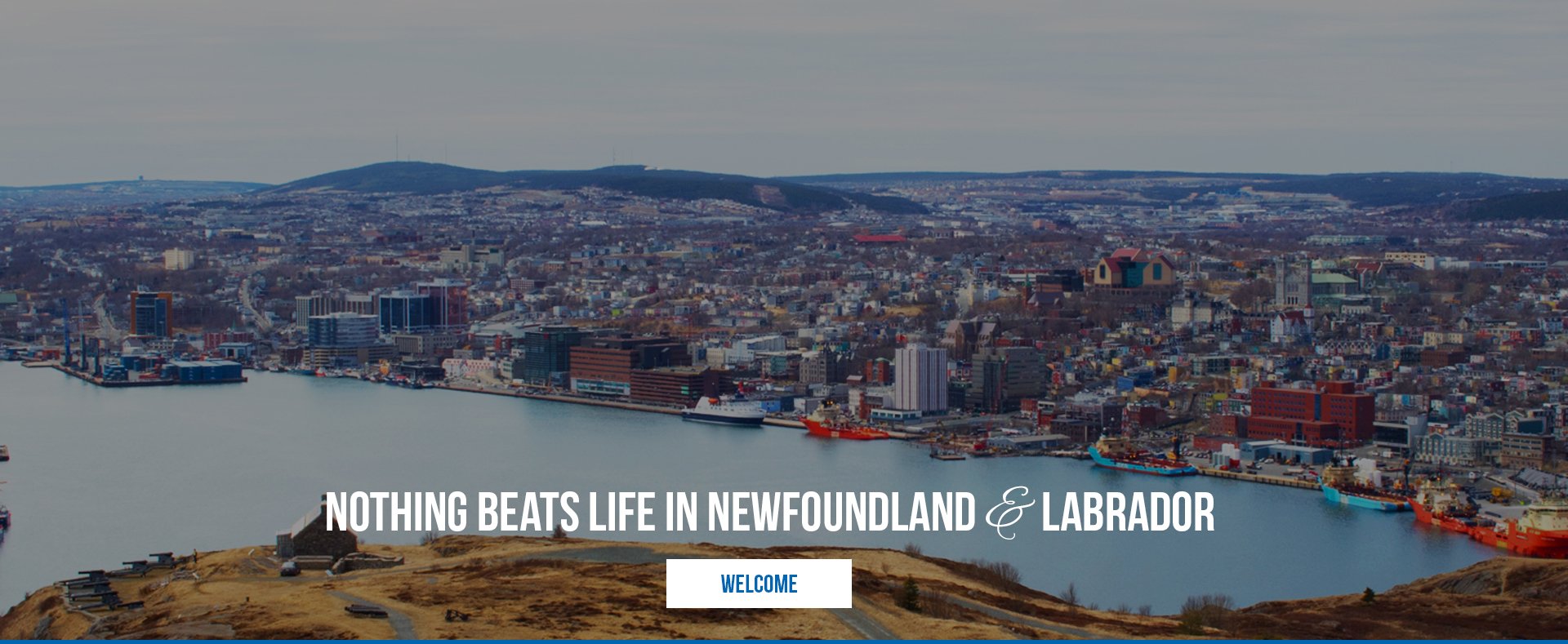 Brian Kelsey Sales Representative Mount Pearl Newfoundland Real Estate