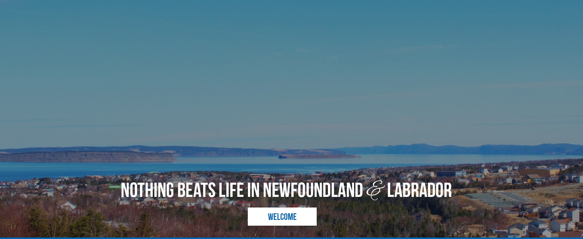 Brian Kelsey Sales Representative Mount Pearl Newfoundland Real Estate