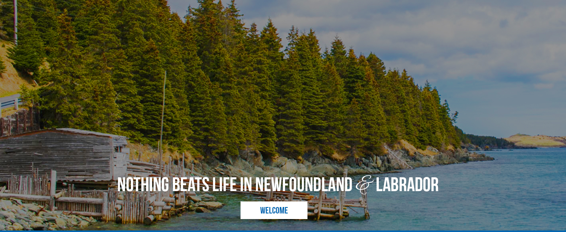 Brian Kelsey Sales Representative Mount Pearl Newfoundland Real Estate